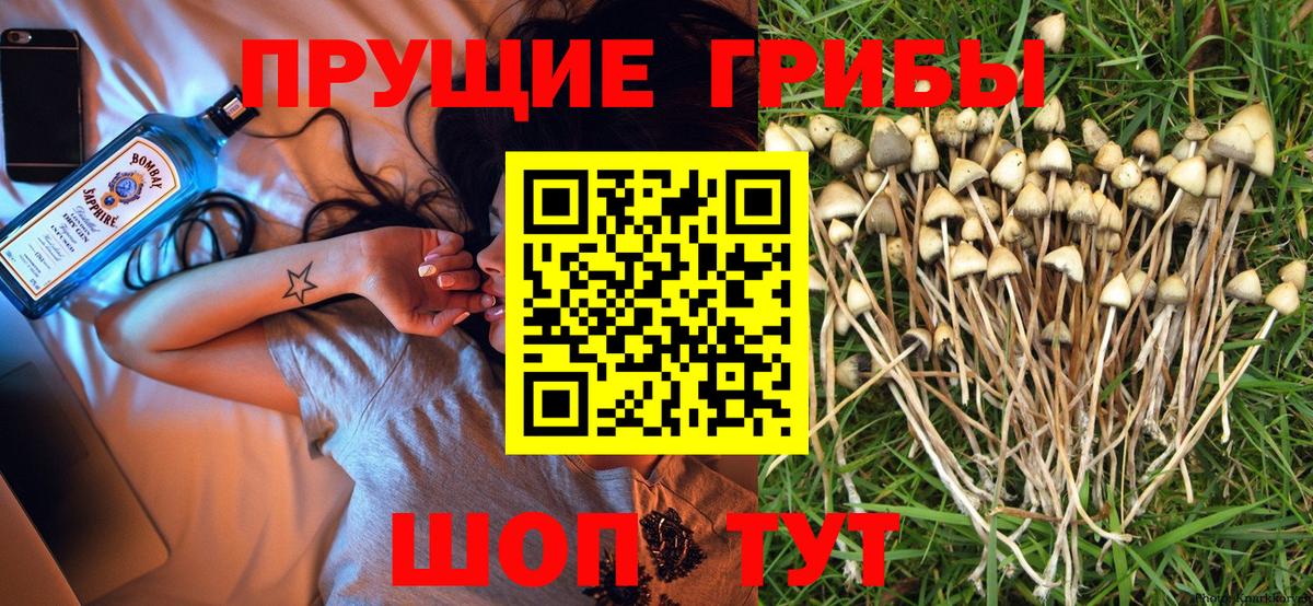 Галлюциногенные грибы ЛСД Дедовск